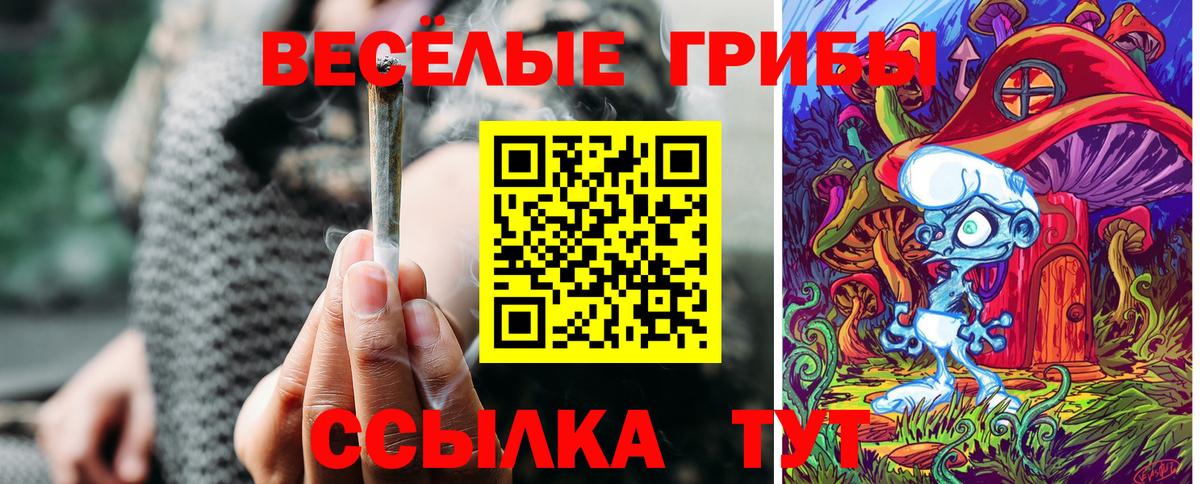 Галлюциногенные грибы MAGIC MUSHROOMS  Вход с VPN  Семёнов 