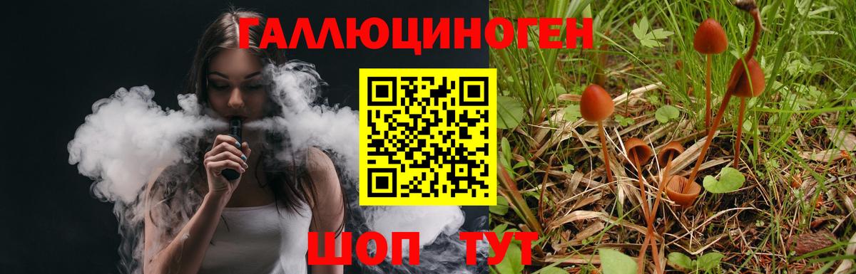 Псилоцибиновые грибы ЛСД Семёнов